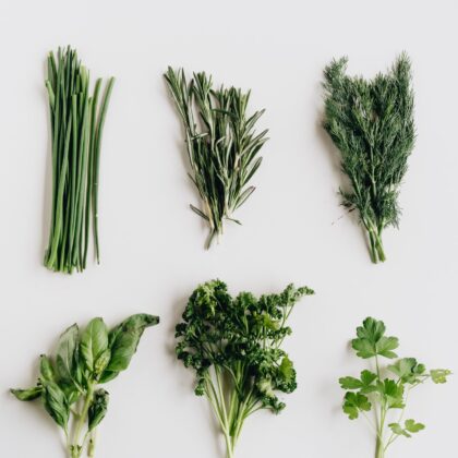 Aromatiques et fleurs comestibles